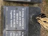 image of grave number 847144